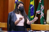 Aava Santiago propõe manter prazo para contribuinte contestar valor do IPTU