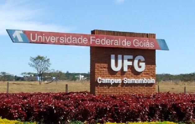 Associação de Egressos e Egressas da UFG obtém título de utilidade pública