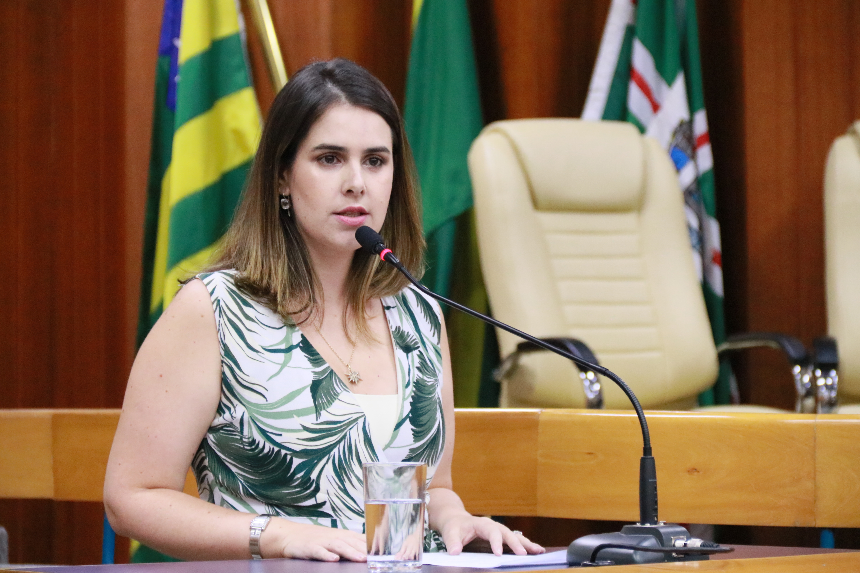 Audiência vai debater o Patrimônio Histórico e de Art Déco de Goiânia