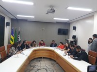  CCJ faz reunião extra para aprovar pauta da sessão de autoconvocação do sábado