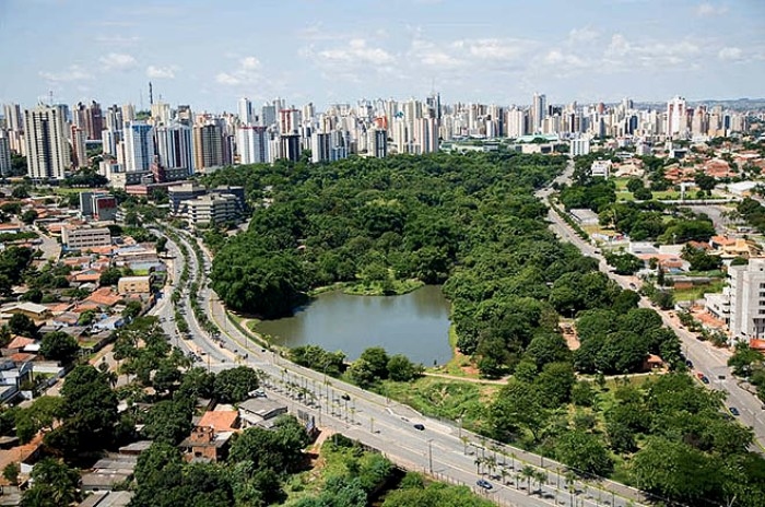 Comissão aprova Plano Diretor de Arborização Urbana para a cidade