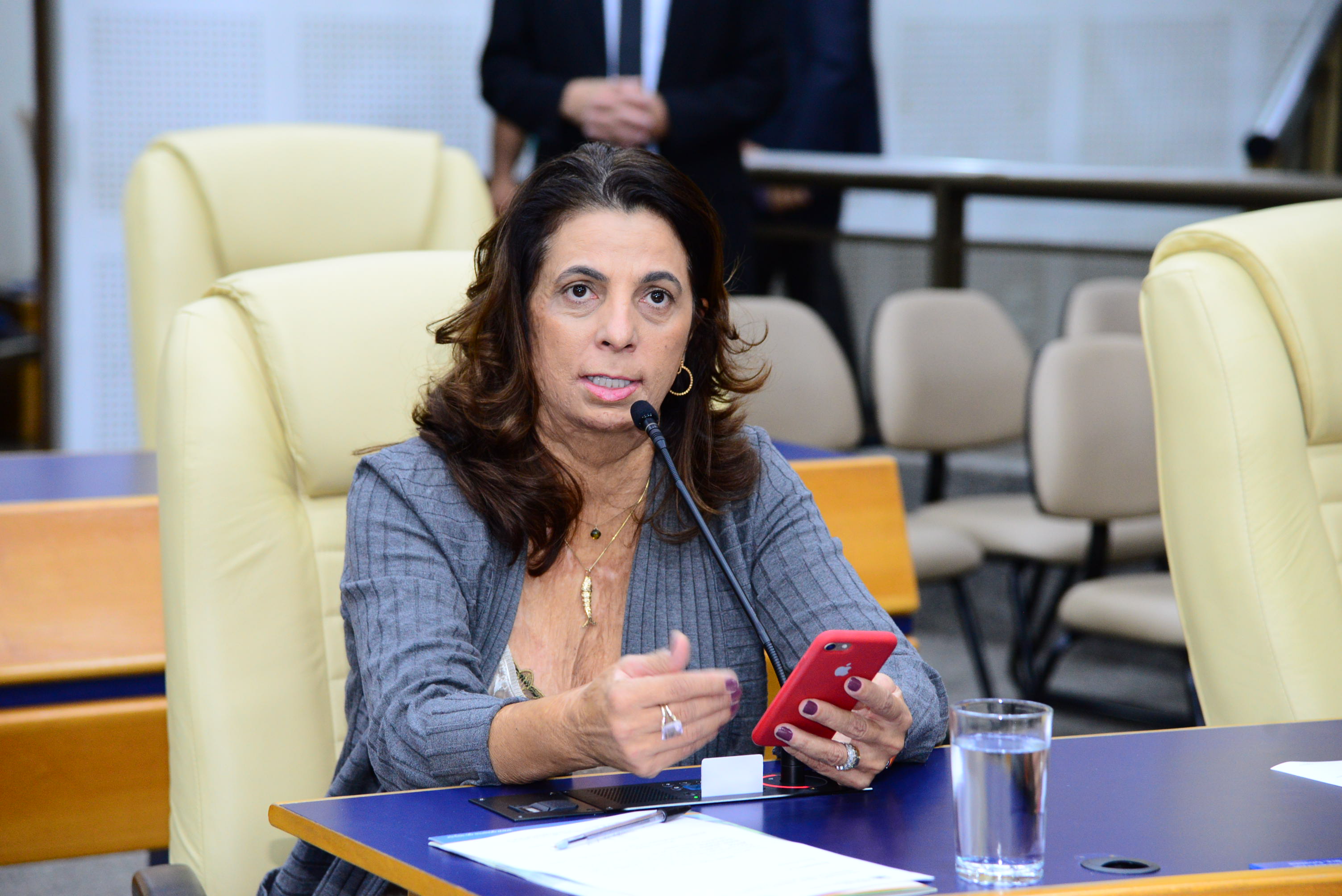 Dra. Cristina assume presidência da subcomissão de Desenvolvimento Humano do Plano Diretor