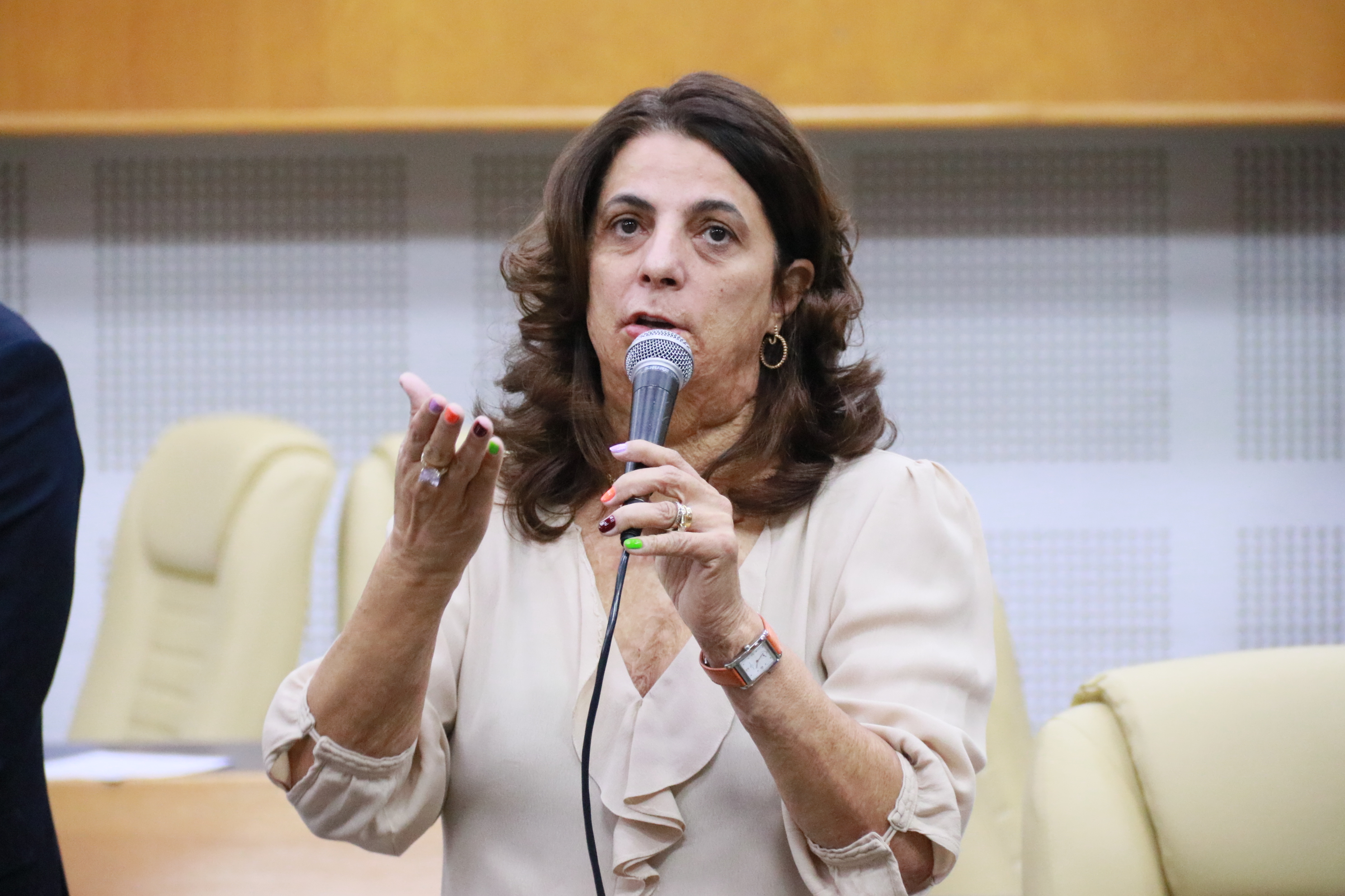 Dra. Cristina e Conselho de Arquitetura e Urbanismo realizam tour do Plano Diretor