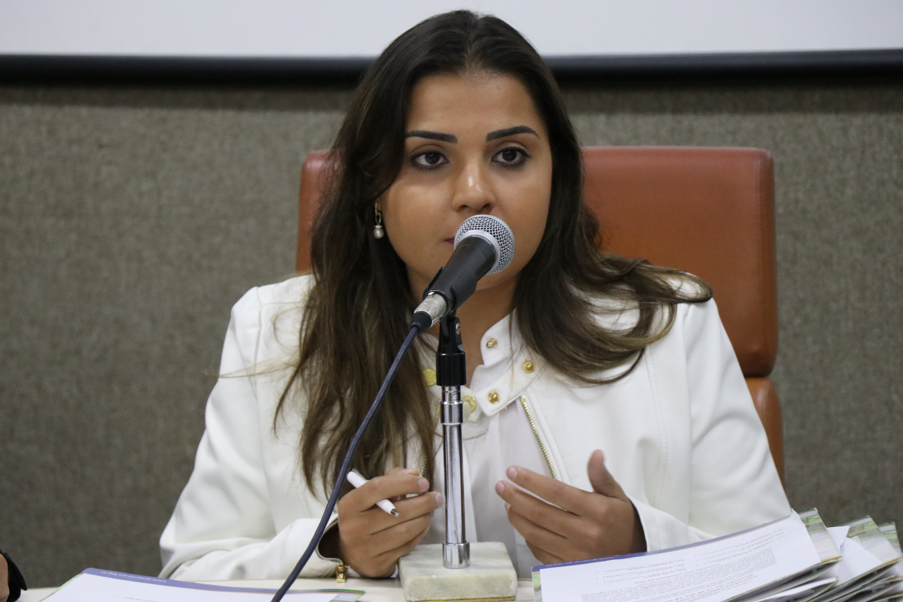 Em audiência pública nesta sexta, vereadora Sabrina Garcez discute ação do MP para tombar imóveis
