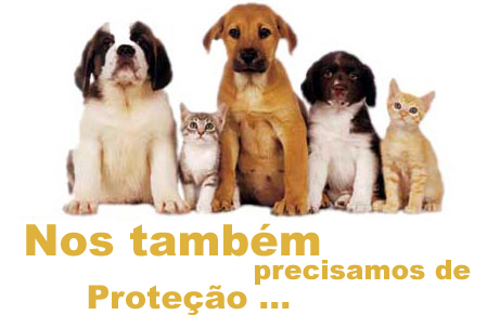 Proteção Animal