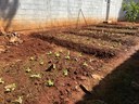 Horta é plantada em Casa de Semiliberdade em Goiânia