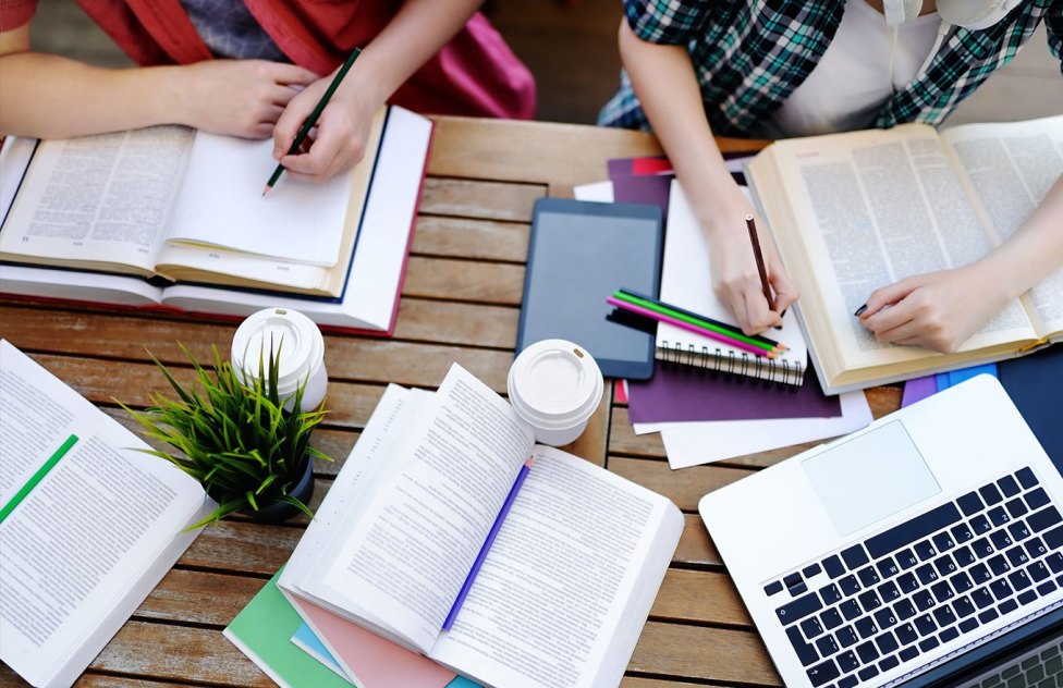 Matérias beneficiam estudantes, desde berçários até concursos públicos