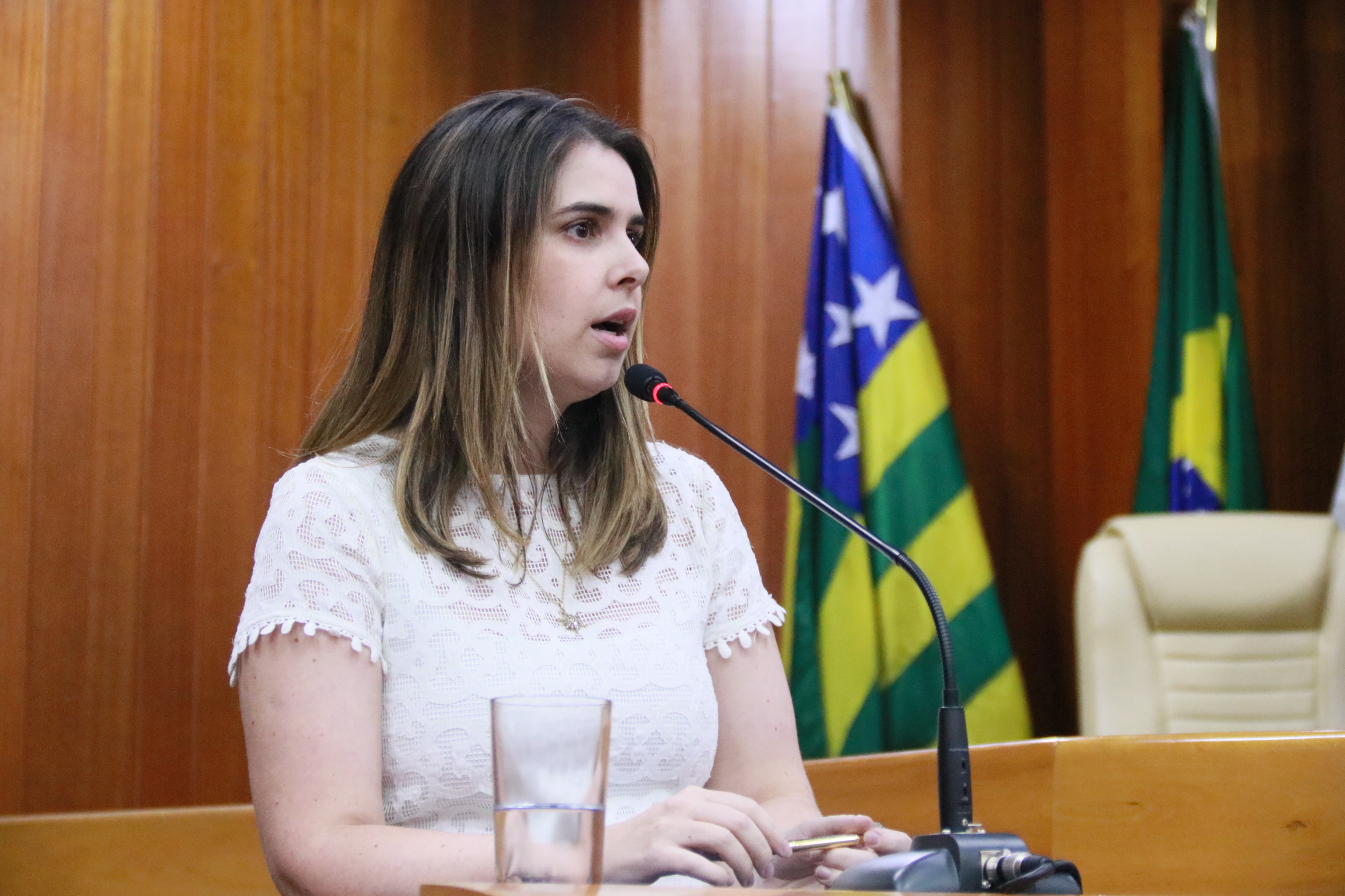 Priscilla Tejota retoma suas atividades na Câmara 