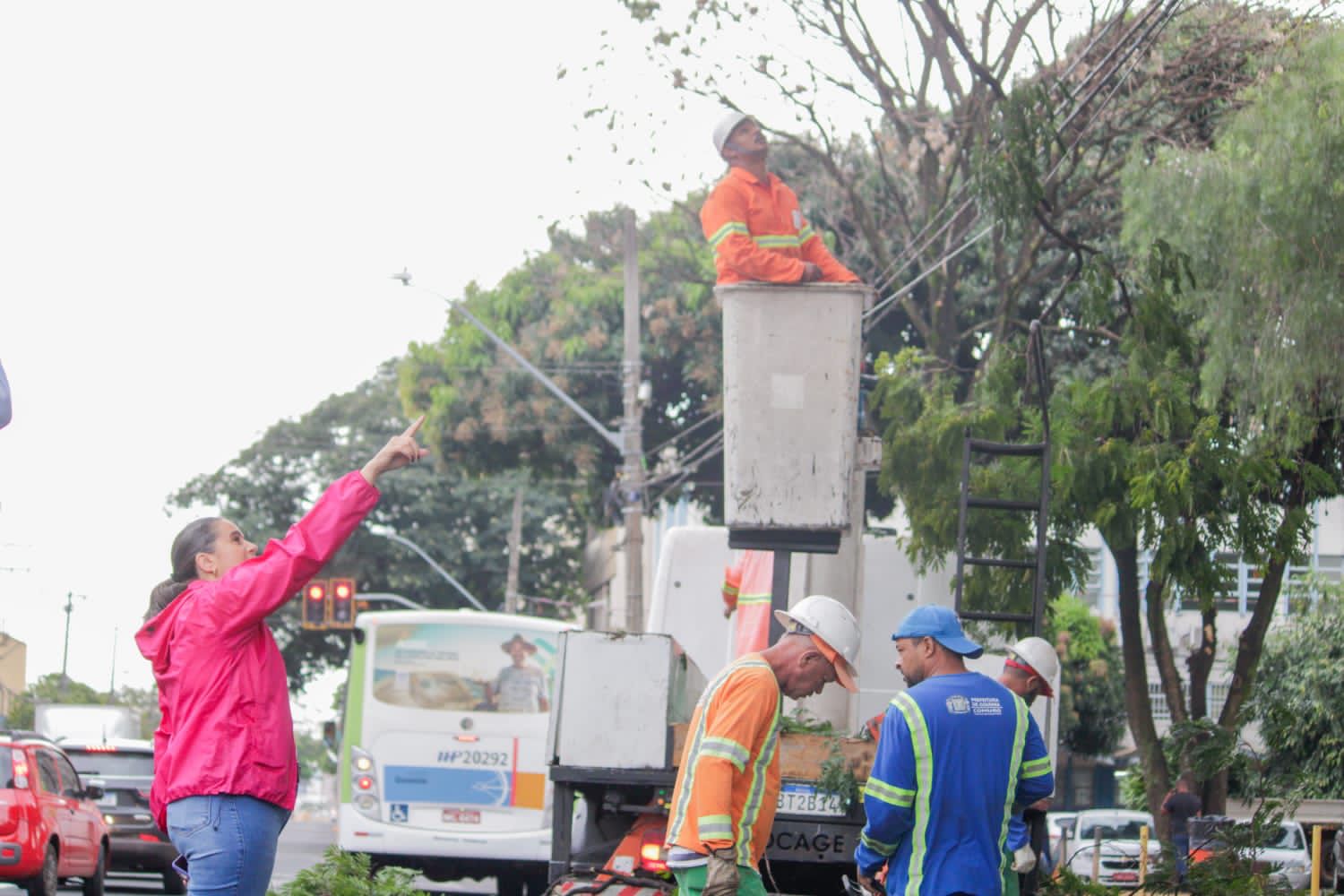 Projeto da vereadora Kátia promove ações de manutenção no Centro de Goiânia