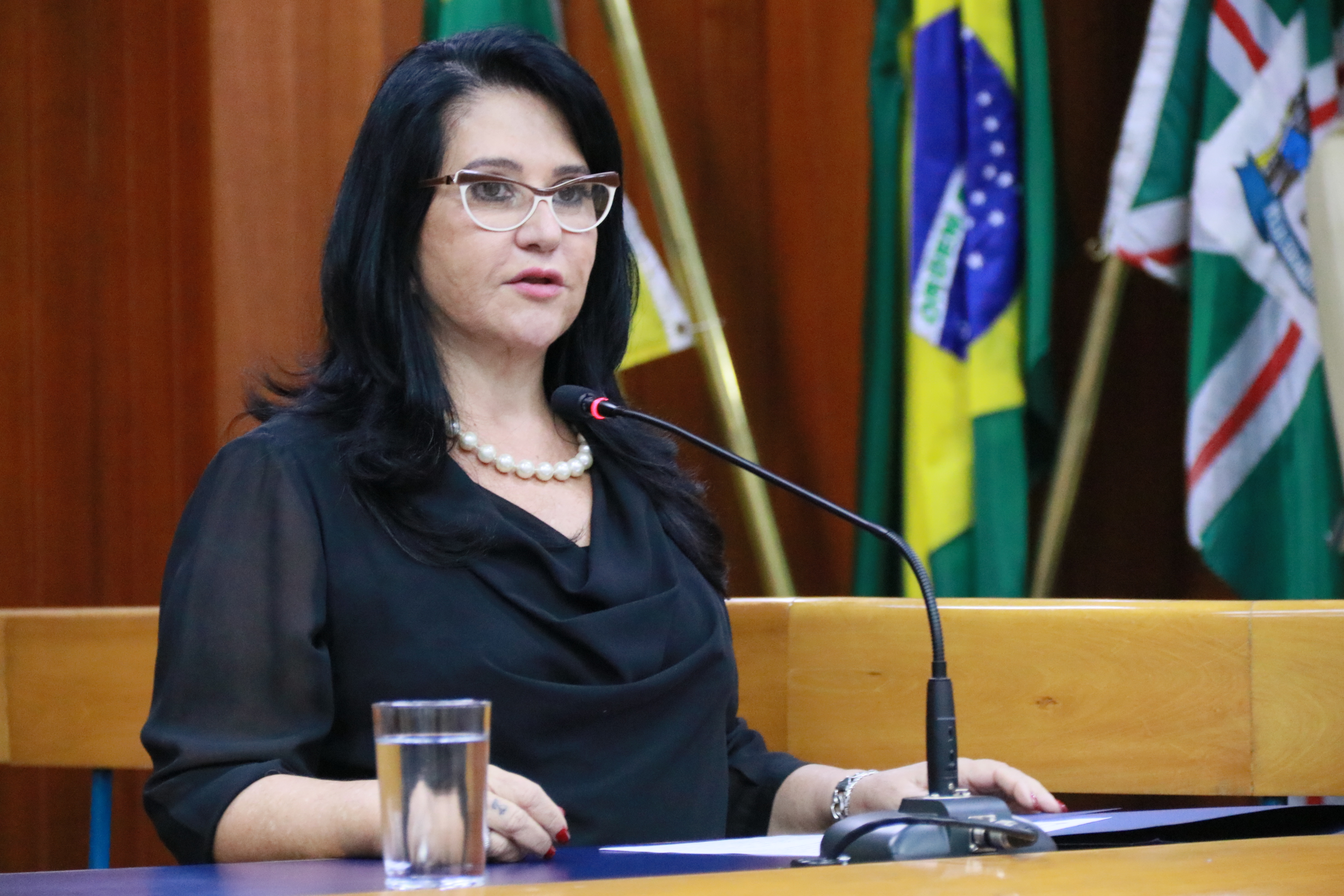 Tribuna Livre apresenta projeto Lei Maria da Penha nas Escolas 